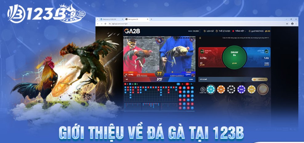 Game đá gà online được định nghĩa là gì?